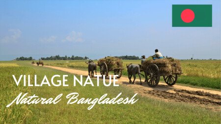 Room 2 guests, with garden