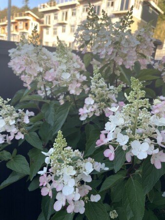 Appartement 2 chambres