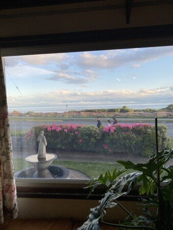 Room 1 guest, with garden