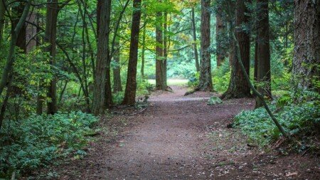 Room 1 guest, with garden