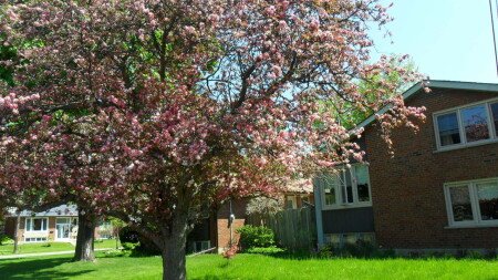 Chambre design, 4 voyageurs