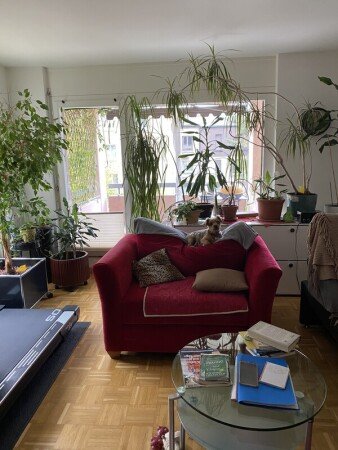 Apartment 1 bedroom, with gym