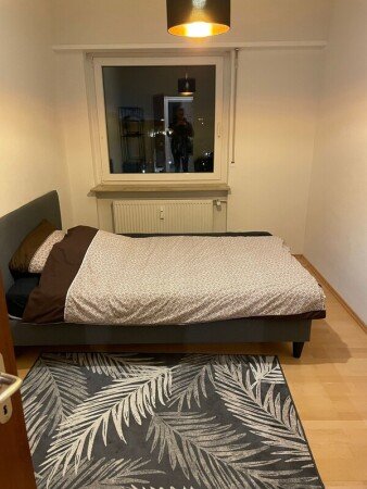 Apartment 1 bedroom, with garden