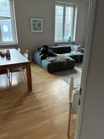 Apartment 1 bedroom, with garden