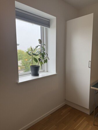 Room 2 guests, with garden