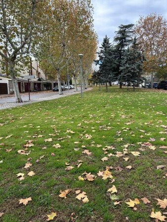Chambre 2 voyageurs, avec piscine