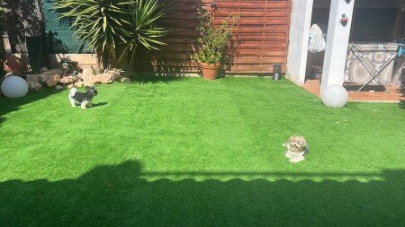 Maison 1 chambre, avec piscine