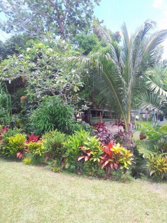 Room 2 guests, with garden