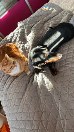 Room 2 guests, with wifi