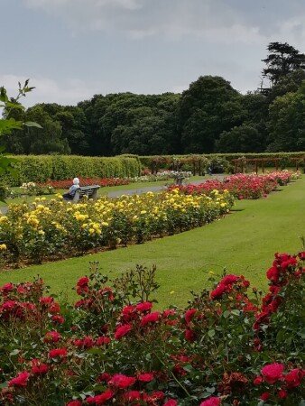 Chambre confortable, 2 voyageurs, avec jardin