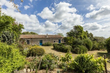 Habitación 2 huéspedes, con jardín