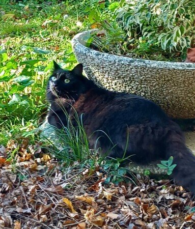 Room 1 guest, with garden