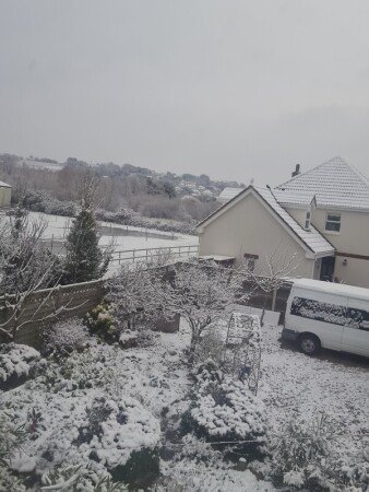 Room 2 guests, with garden