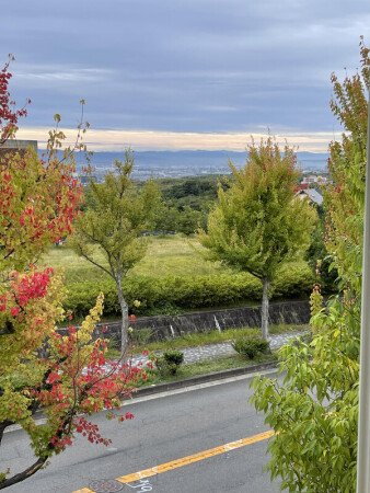 Room 2 guests, with gym