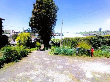 Room 7 guests, with garden