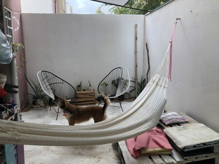 Appartement 1 chambre, avec piscine