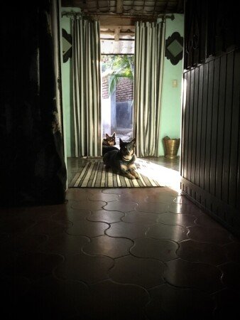 Casa 1 habitación, con jardín