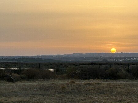 Camera 2 ospiti, con giardino