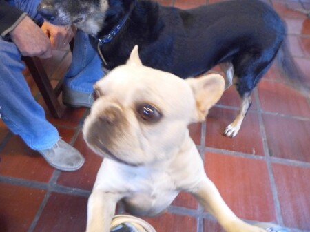 Room 3 guests, with garden