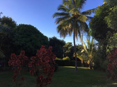 Chambre 2 voyageurs, avec jardin