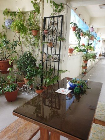 Appartement 2 chambres, avec salle de sport