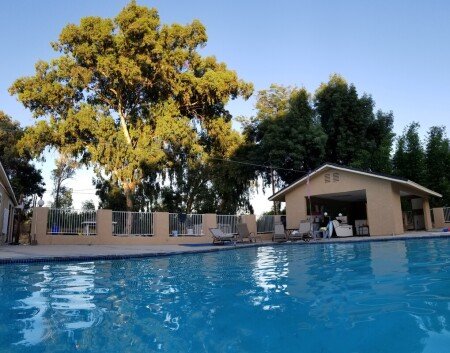 Room 6 guests, with pool