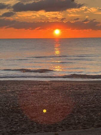 Room 2 guests, with garden
