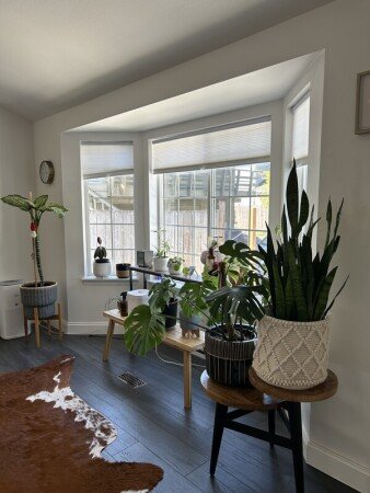 Chambre 1 voyageur, avec jardin