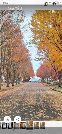 Room 2 guests, with wifi