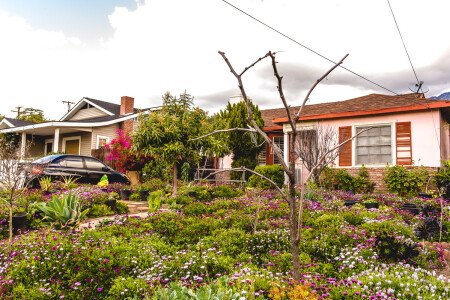 Camera 6 ospiti, con piscina