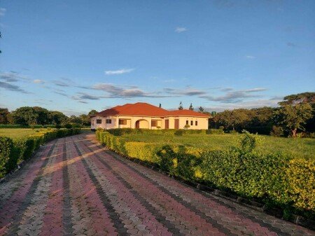 Room 4 guests, with garden