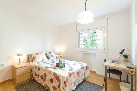 Camera 1 ospite, con wifi