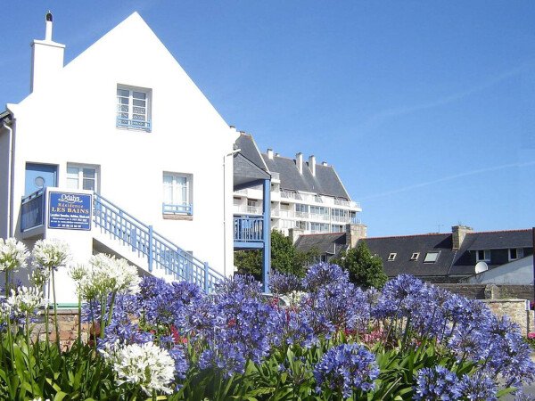 Résidence cozy, 1 chambre, avec wifi