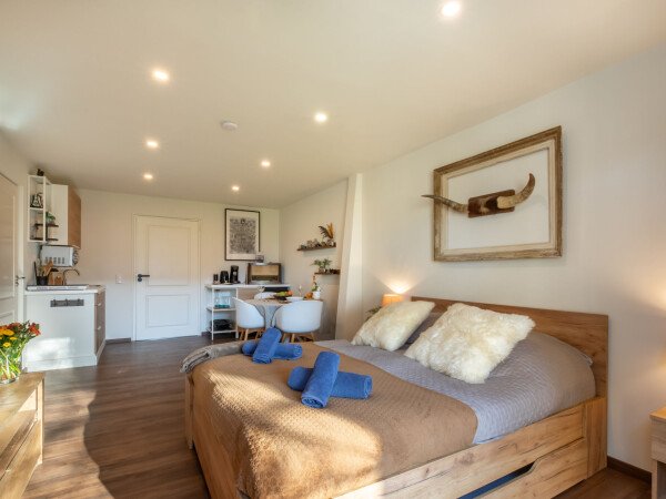 Wohnung 1 Schlafzimmer, mit Whirlpool