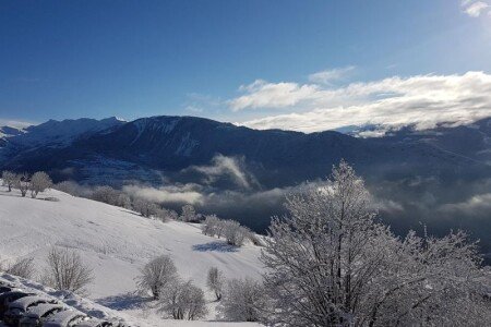 Appartement de charme, 1 chambre, avec wifi
