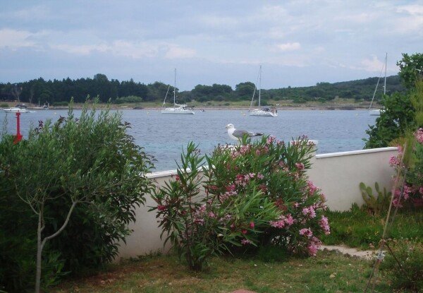 Appartamento 2 camere, con vista mare