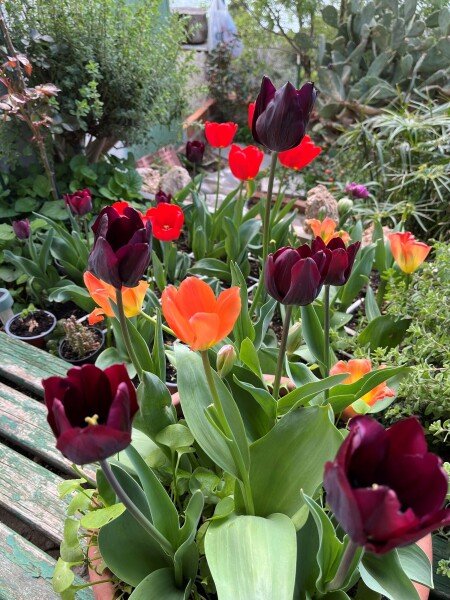 Wohnung 2 Schlafzimmer, mit Meerblick