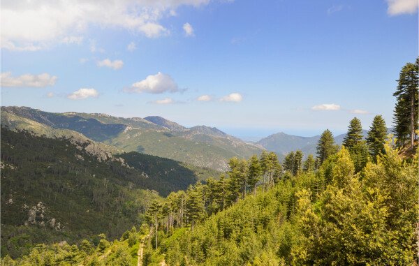 Appartamento 1 camera, con parcheggio