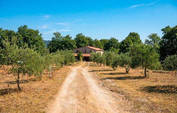 Appartamento 1 camera, con palestra