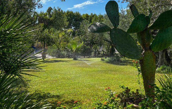 Casa 3 camere, con vista mare