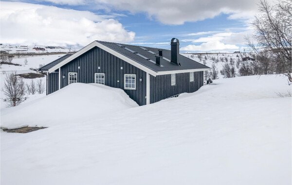 House 3 bedrooms, with fireplace