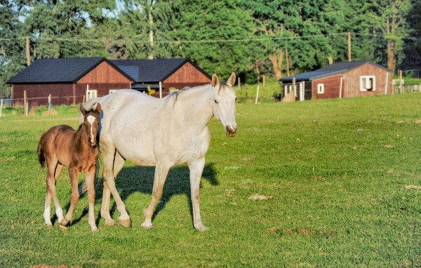 Appartamento 1 camera, con wifi