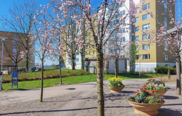 Apartment 1 bedroom, with wifi