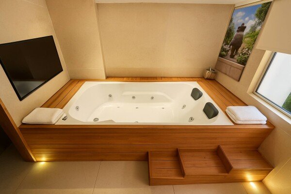 Apartment 1 bedroom, with pool