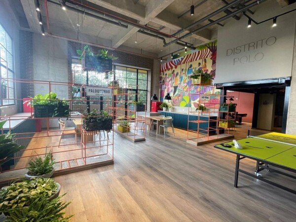 Apartment 1 bedroom, with pool