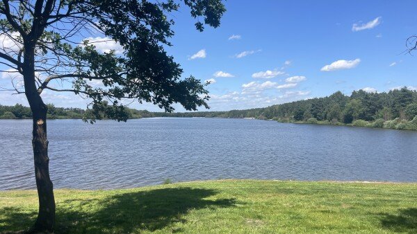 House 2 bedrooms, with garden