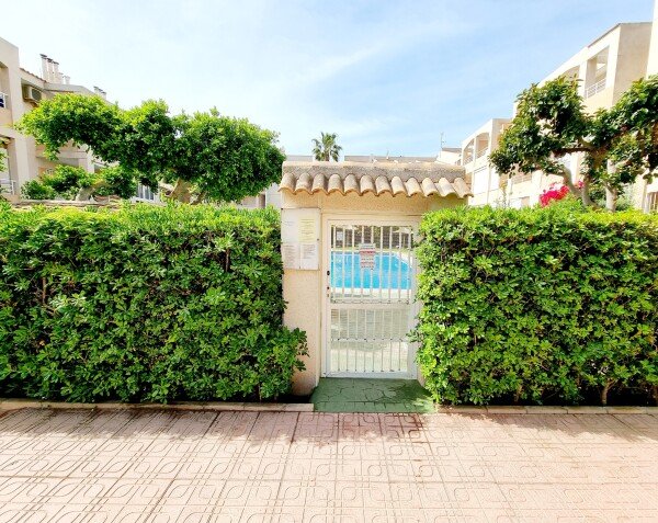 Apartment 1 bedroom, with pool