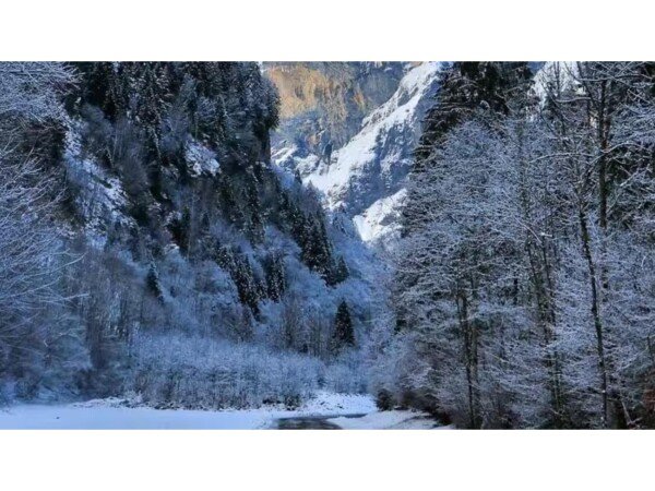 Apartment 1 bedroom, with parking