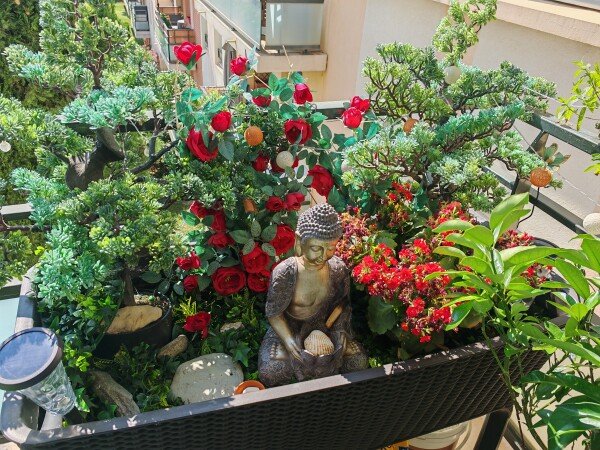 Appartement 1 slaapkamer, met zwembad