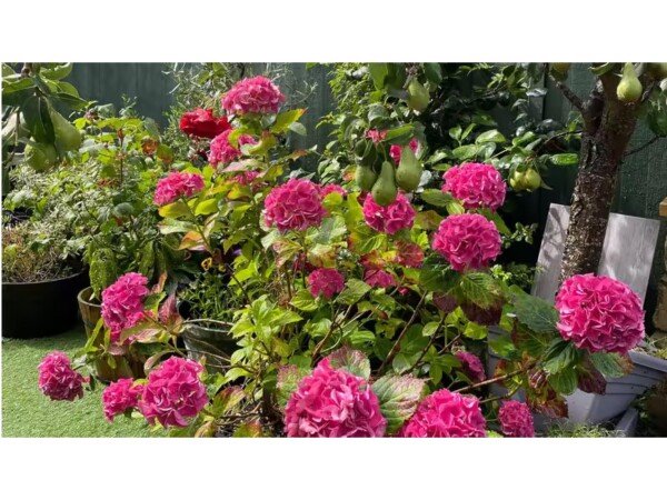 Appartement moderne, 1 chambre, avec wifi